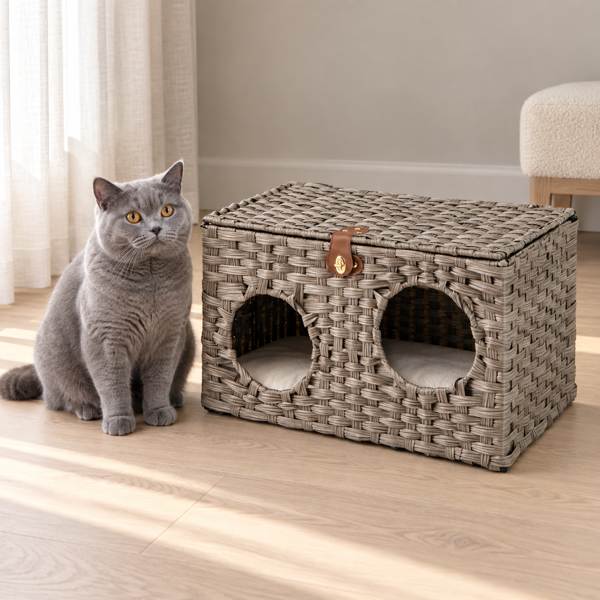 The Woven Retreat beside a solid-blue British Shorthair in a quiet luxury bedroom