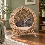 Blue British Shorthair resting inside a raised woven rattan cat cave