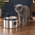 4L cordless cat water fountain beside a solid-blue British Shorthair