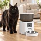 4L automatic cat feeder with camera beside a solid-black Maine Coon