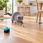 Solid-blue British Shorthair playing beside the configurable mouse-chase track in a bright kitchen