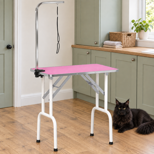 Pink grooming table in a sage utility room with a black Maine Coon resting beside it