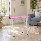 Pink grooming table in a sitting room with a cream Maine Coon lying beside it