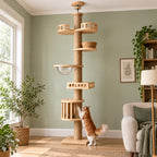 Orange Maine Coon beside the Sovereign Spire in a sage room; illustrative scene