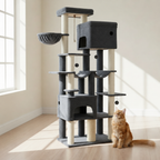 Orange Maine Coon watching the Taj-MeowHall tower's lower hanging ball in a bright room