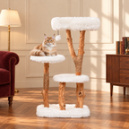 Cat Tree 110cm | Pear-Wood Perch Tower – The Orchard Perch with Maine Coons comfortably resting, reading room