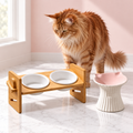 Raised Cat Bowl Bundle – The Dining Duo, Default Title size shown, with a ginger Maine Coon in an empty light pink room.