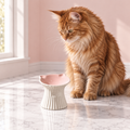Elevated Ceramic Cat Bowl with Cat-Ear Rim – The Purr-celain, Default Title shown, with a ginger Maine Coon in an empty light pink room.