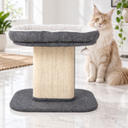 Modern Cat Tree Tower with Large Plush Perch and Sisal Scratching Plate — maine coon cream