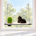 Window Lounger Cat Perch with Cat Grass Grow Station – The Garden Lounger with a black Maine Coon in a pale pink room