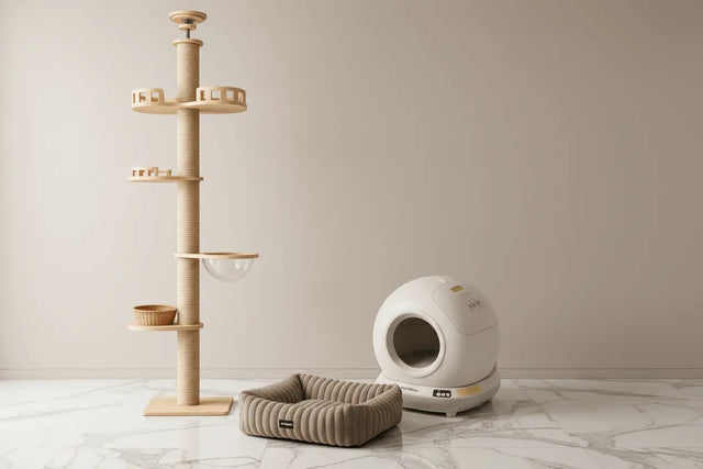 Natural-colour floor-to-ceiling tower with clear bowl perch beside a white globe litter tray and ribbed bed.