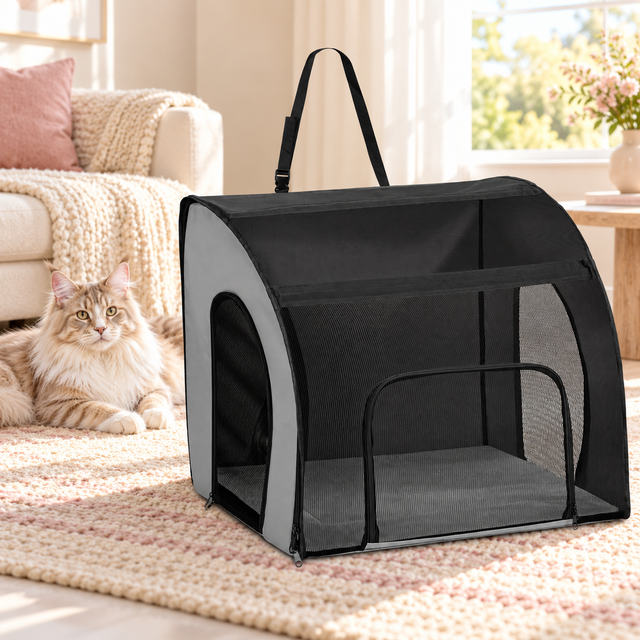Large Soft-Sided Cat Travel Carrier beside a cream Maine Coon