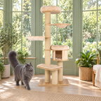 Linden Lookout wooden tower in a sage conservatory with a grey Maine Coon beside the base