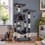 Misty Perch with Maine Coon in blue-grey UK living room