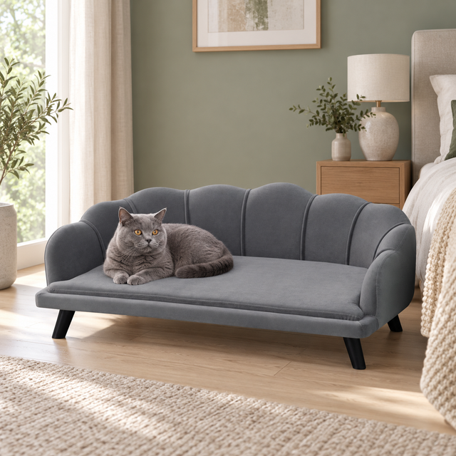 Wide grey pet sofa with a blue British Shorthair cat