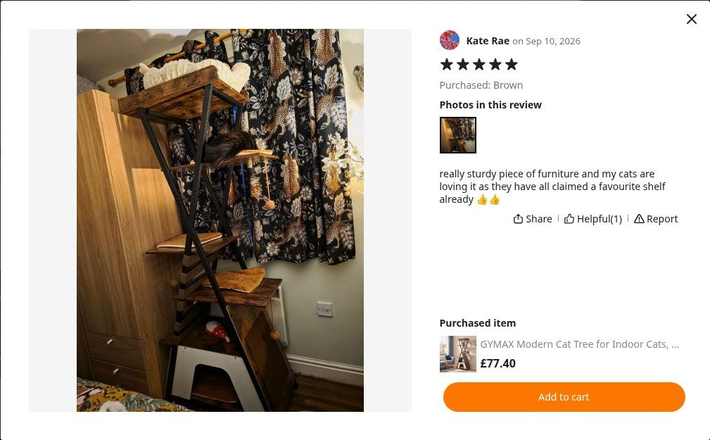 Kate Rae’s photograph of Cat Tree 185cm | Metal Frame Tower – The Aster Loft