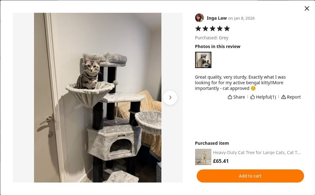 Inga Law’s photograph of Cat Tree 160 cm – The Ivory Crown