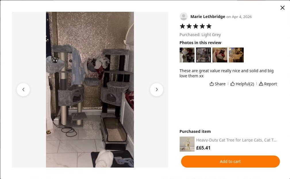 Marie Lethbridge’s photograph of Cat Tree 160 cm – The Ivory Crown