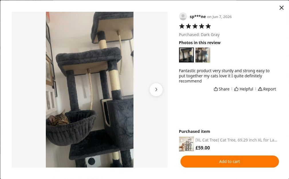 sp***ne’s photograph of Maine Coon Cat Tree 176cm | XL Multi-Level Tower – The Grand Haven