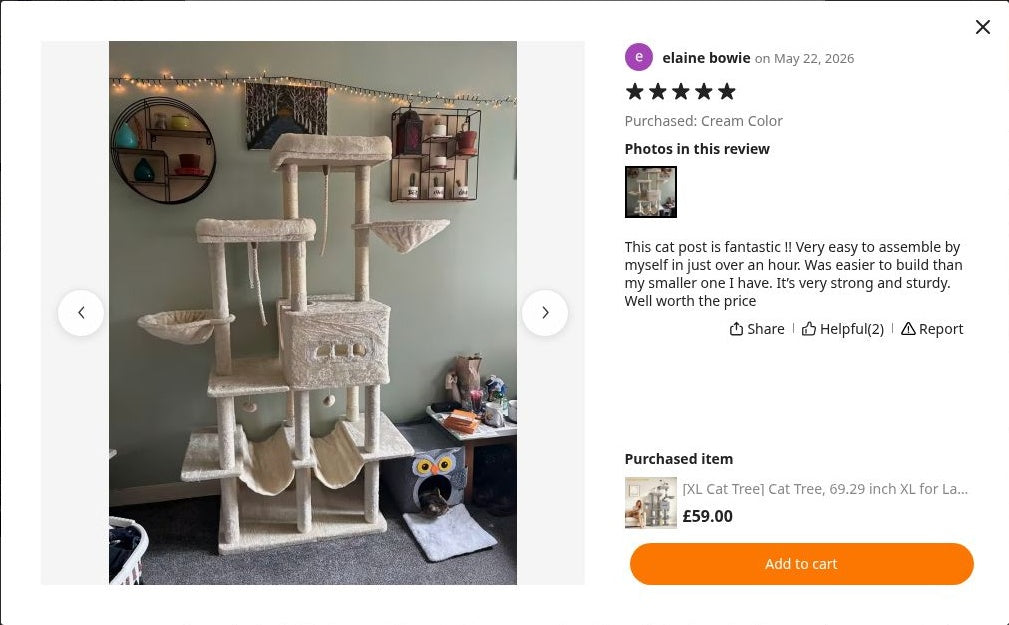 elaine bowie’s photograph of Maine Coon Cat Tree 176cm | XL Multi-Level Tower – The Grand Haven