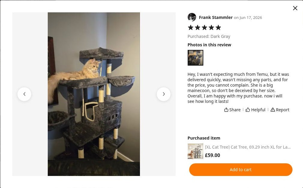 Frank Stammler’s photograph of Maine Coon Cat Tree 176cm | XL Multi-Level Tower – The Grand Haven