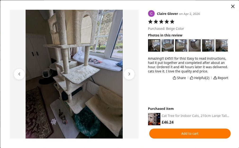 Claire Glover’s photograph of Maine Coon Cat Tree 211cm | XL Cat Tower – Cat-Cave