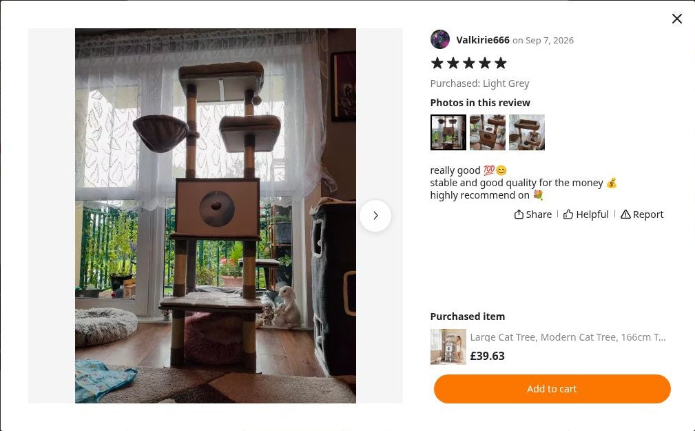 Valkirie666’s photograph of Cat Tree 166cm | Modern Multi-Level Tower – The Slate Haven