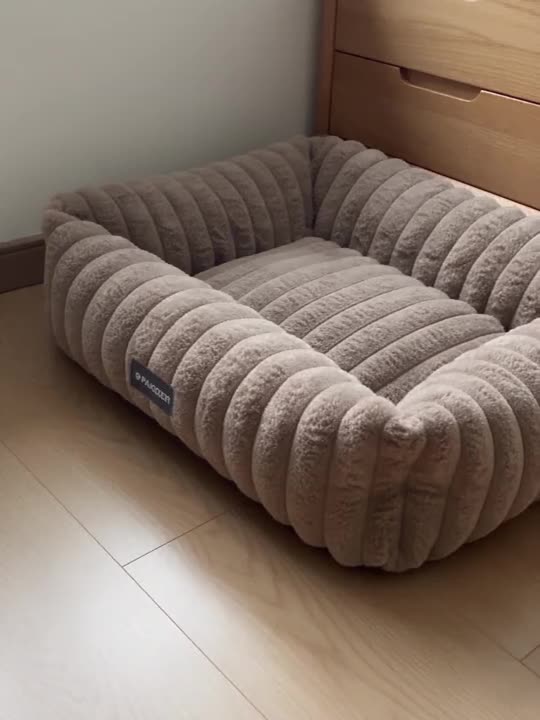 Cat Beds & Comfort