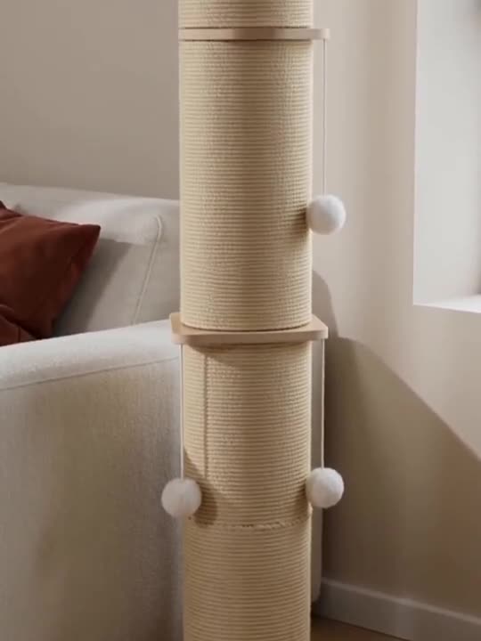 Scratch Central — Cat Scratching Post & Ball Track at home